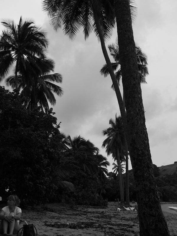 Martinique2003 021 